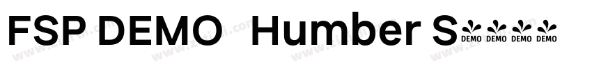 FSP DEMO   Humber S字体转换